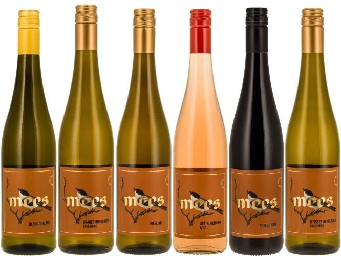 “BONVOYAGE”SOMMERWEINtrocken|Probierpaket|6x750ml✪SpannendeWeinezumVorteilspreis