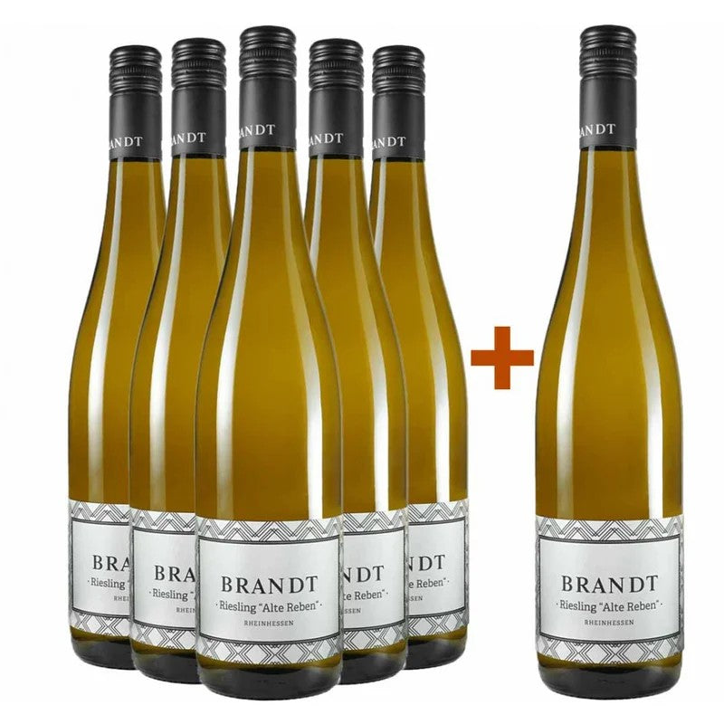 Brandt5+1PaketRieslingAlteRebentrocken