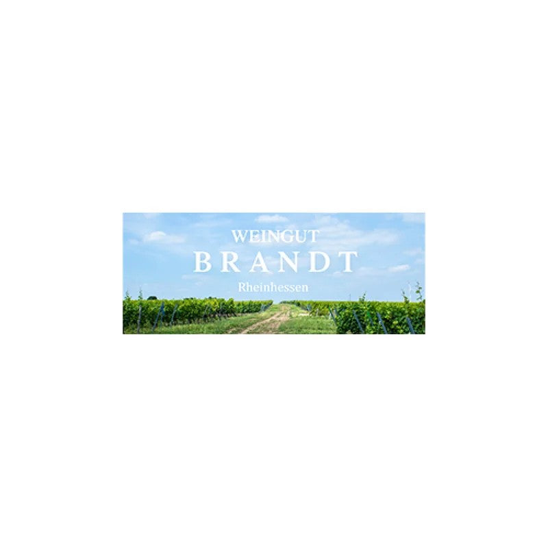 BrandtBechtheimerHasensprungRieslingtrocken2015