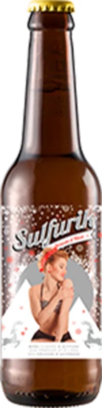Brasserie360Sulfurik–BrassinD’hiver:Bier-Bewertung&Test–BeerTasting