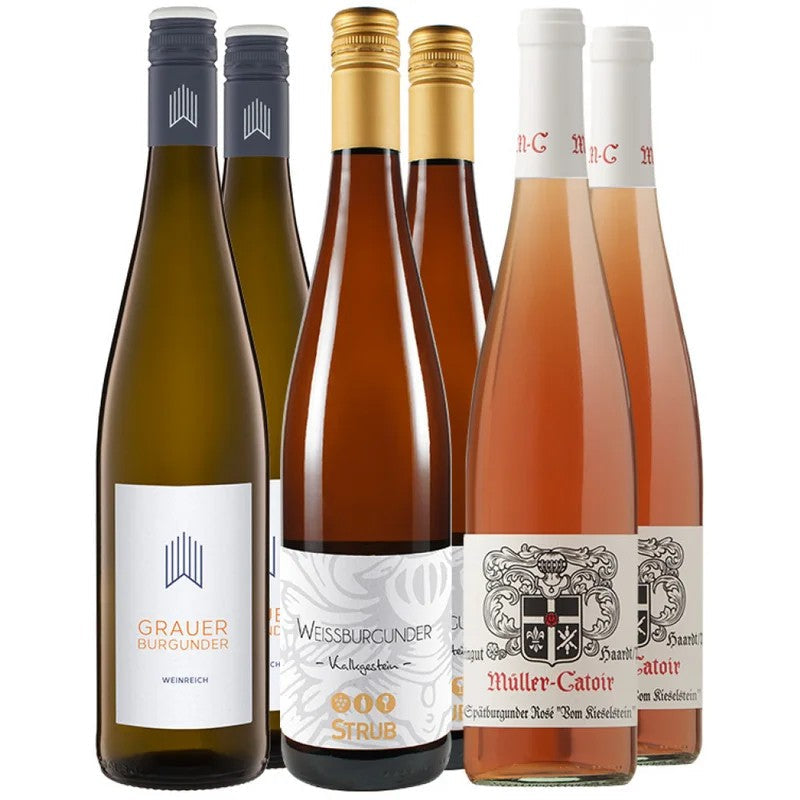 Burgunder-Harmonie-Probierpaket