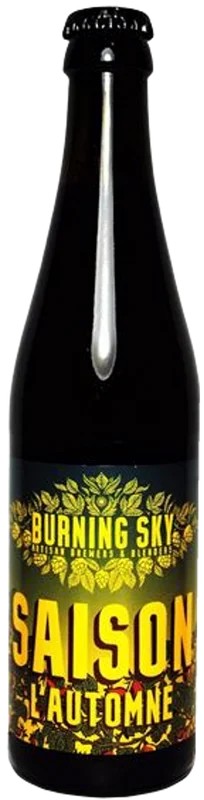 BurningSkySaisonL’Automne:Bier-Bewertung&Test–BeerTasting