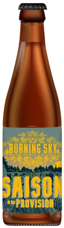 BurningSkySaisonProvision:Bier-Bewertung&Test–BeerTasting