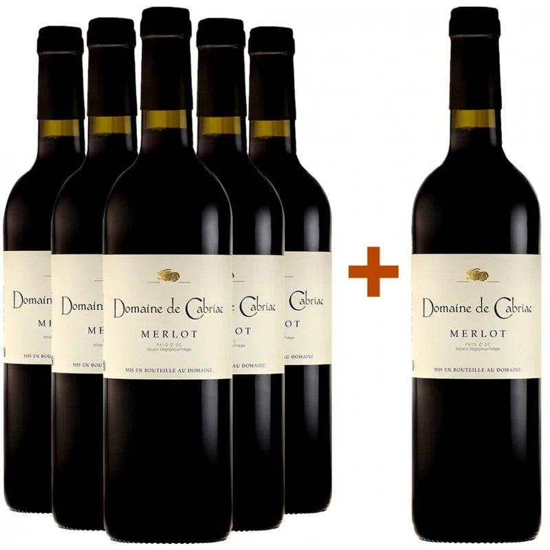 Cabriac5+1PaketMerlotTraditionIGP