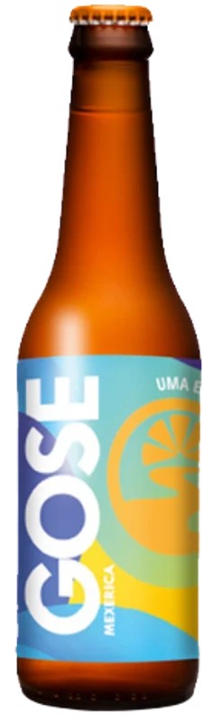 CamaleGOSEtangerine:Bier-Bewertung&Test–BeerTasting