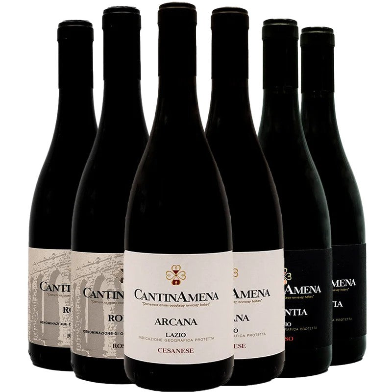 CantinAmenaCantinaAmenaKennenlern-Paket