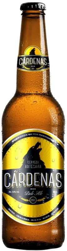 CervezasCardenas–PaleAe:Bier-Bewertung&Test–BeerTasting