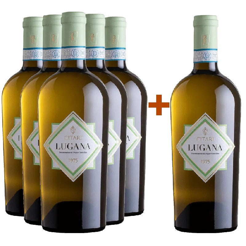 Citari5+1Paket1975LuganaDOCbeiWirWinzerbestellen