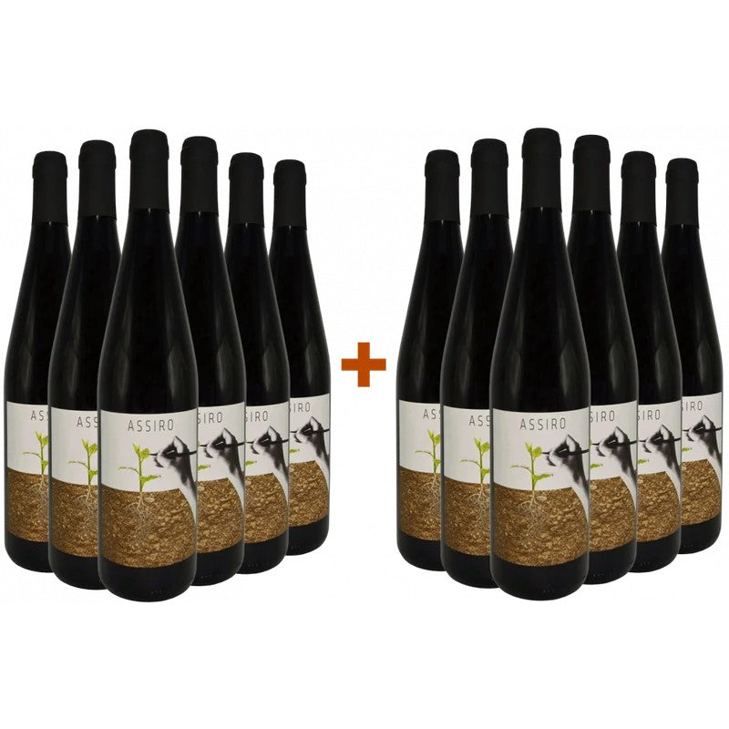 ClioCicogni6+6PaketAssiroToscanaIGP