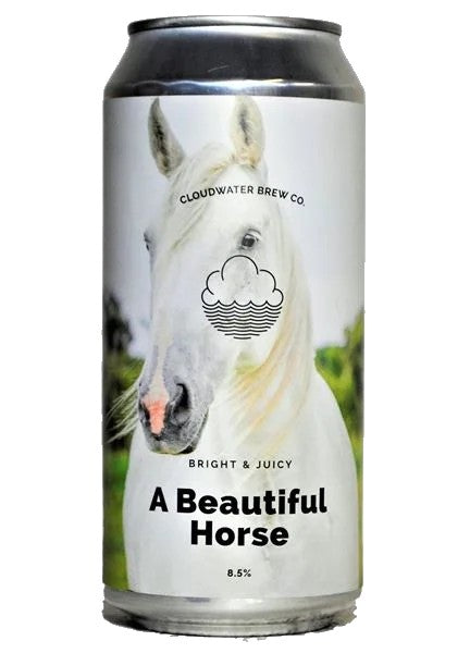 CloudwaterBrewABeautifulHorse:Bier-Bewertung&Test–BeerTasting