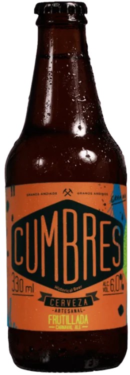 CumbresFrutillada:Bier-Bewertung&Test–BeerTasting