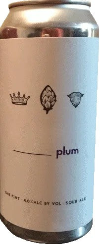 DancingGnomeUnderscorePlum:Bier-Bewertung&Test–BeerTasting