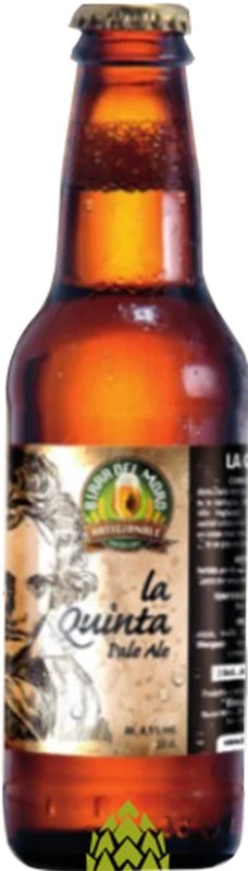 DelMoroLaQuinta:Bier-Bewertung&Test–BeerTasting