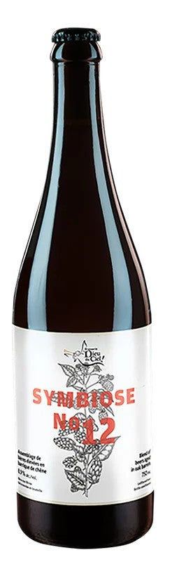 DieuduCiel!SymbioseNo.12:Bier-Bewertung&Test–BeerTasting