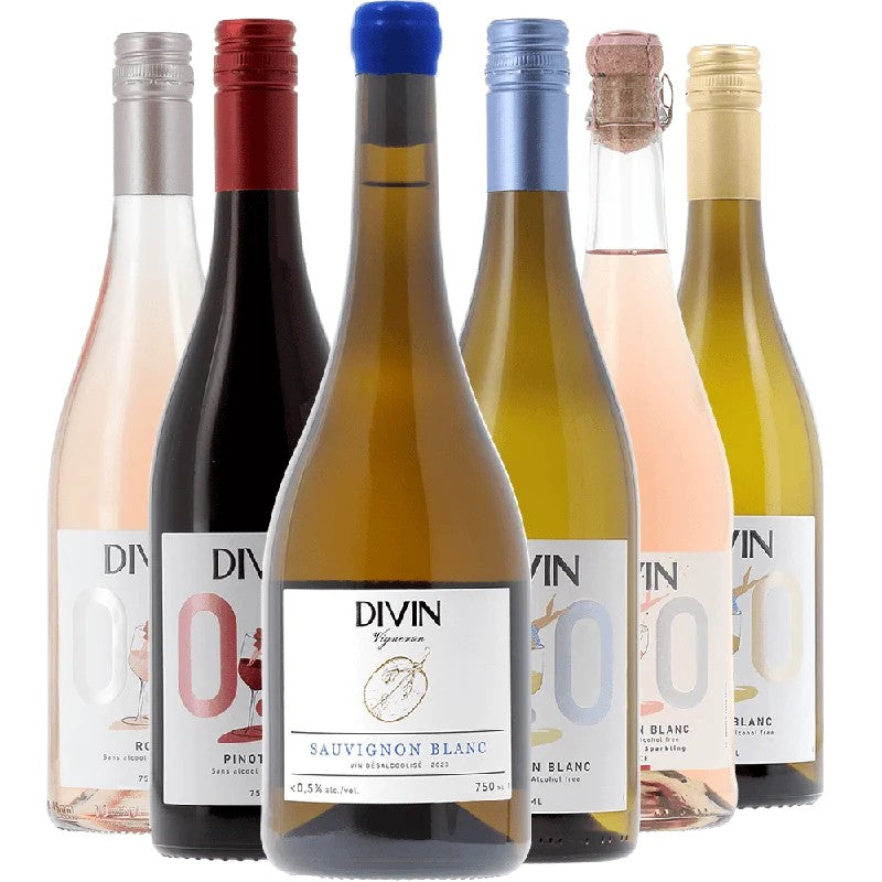 DIVINDIVINBoxDegustazionebeiWirWinzerbestellen