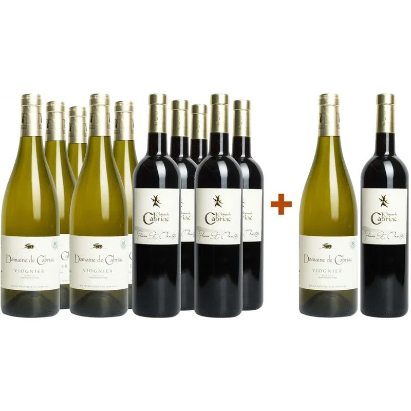 DomainedeCabriacWeihnachts-PaketI