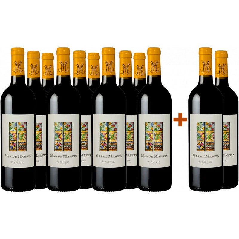 DomaineduMasdeMartin10+2PaketPleinSud