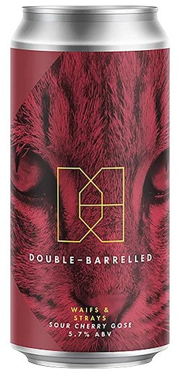 Double-Barrelled–WaifsandStrays:Bier-Bewertung&Test–BeerTasting