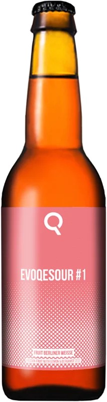 EvoqeBrewing–Evoqesour#1:Bier-Bewertung&Test–BeerTasting