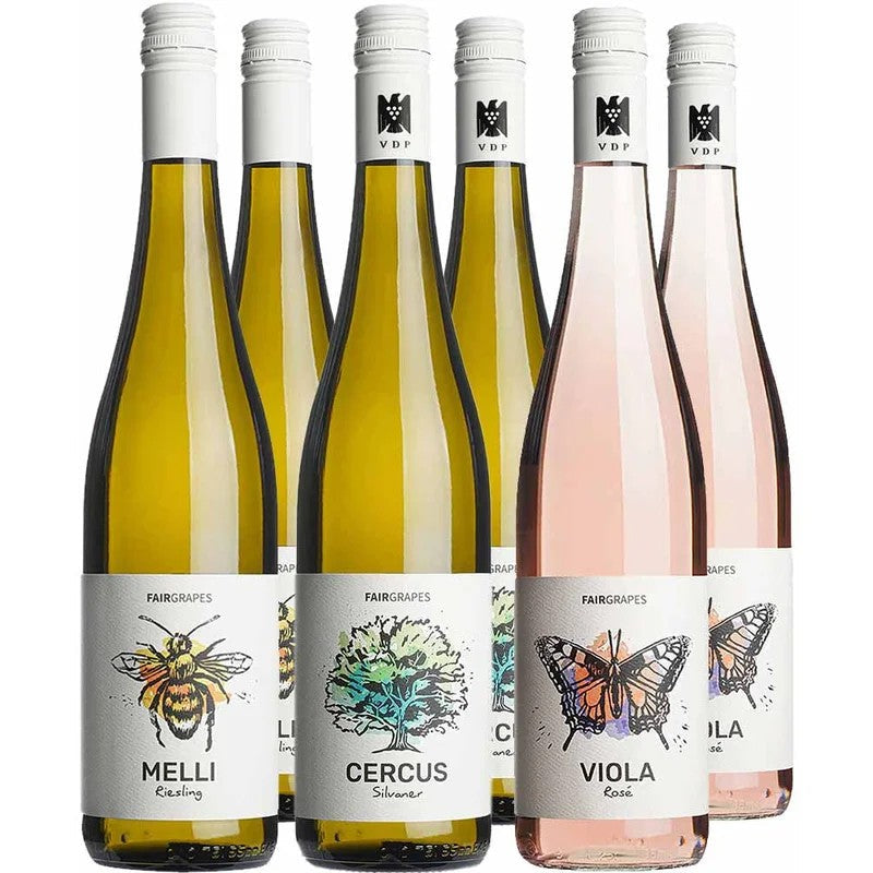 FairGrapes-Kennenlern-PaketjetztbeiWirWinzer