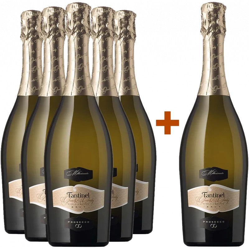 Fantinel5+1PaketOne&OnlyProseccoMillesimatoDOC