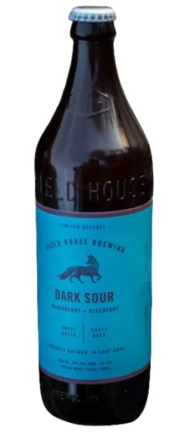 FieldHouseBrewing–DarkSour:Bier-Bewertung&Test–BeerTasting