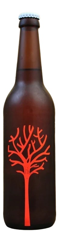 FirstOrderJeSuisCitra:Bier-Bewertung&Test–BeerTasting