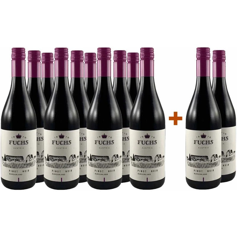 Fuchs10+2BurgenlandPinotNoirtrocken–WeingutFuchs