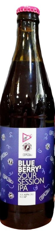 FunkyFluidBlueberry:Bier-Bewertung&Test–BeerTasting