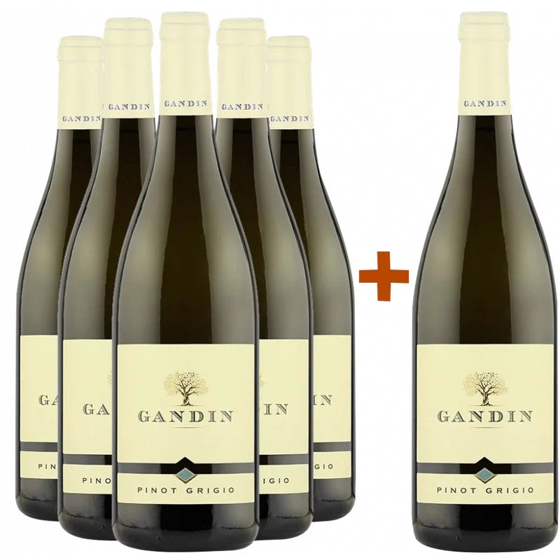 Gandin5+1PaketPinotGrigioFriuliIsonzoDOC