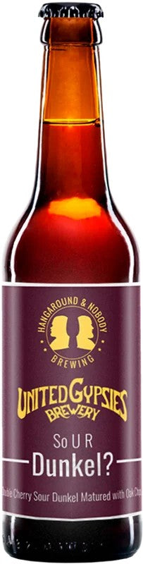 Hangaround&NobodySouRDunkel?:Bier-Bewertung&Test–BeerTasting