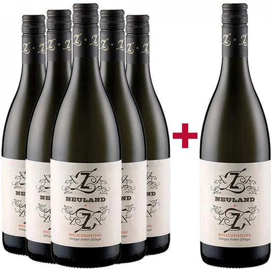 HerbertZillinger5+1„Neuland“WelschrieslingKennenlernpaket
