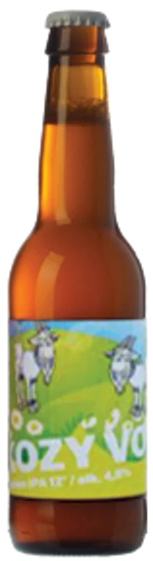 JamaKozyvon:Bier-Bewertung&Test–BeerTasting