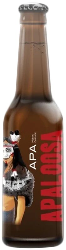 KashmirApaloosa:Bier-Bewertung&Test–BeerTasting