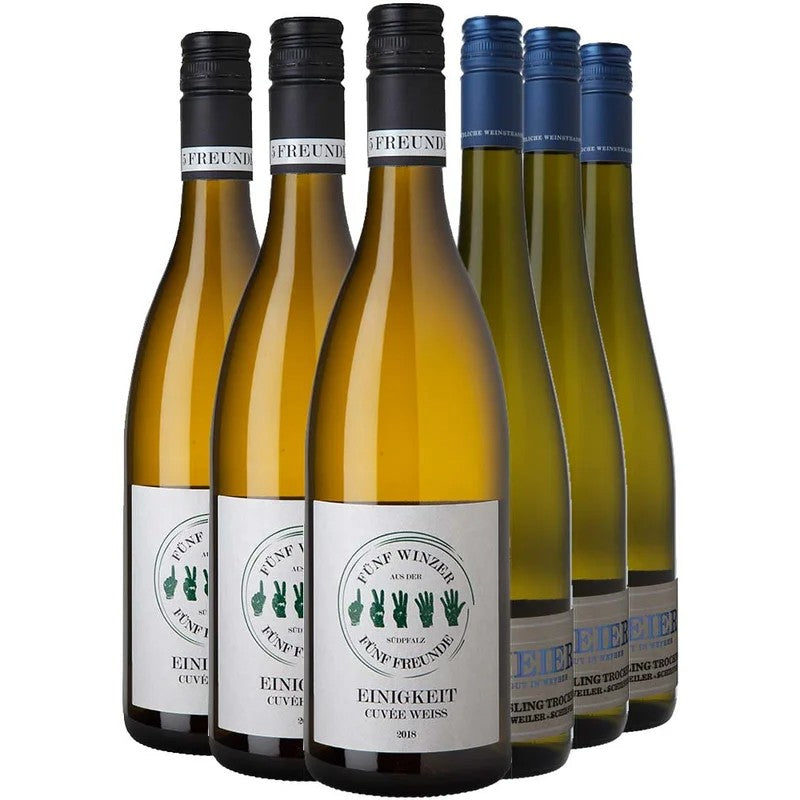 LetzteFlaschenPfalz-PaketbeiWirWinzerbestellen