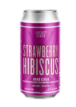 LocustStrawberryHibiscus:Bier-Bewertung&Test–BeerTasting