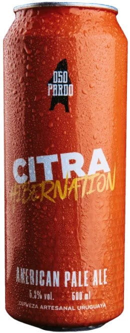 OsoPardoCitraHibernation:Bier-Bewertung&Test–BeerTasting