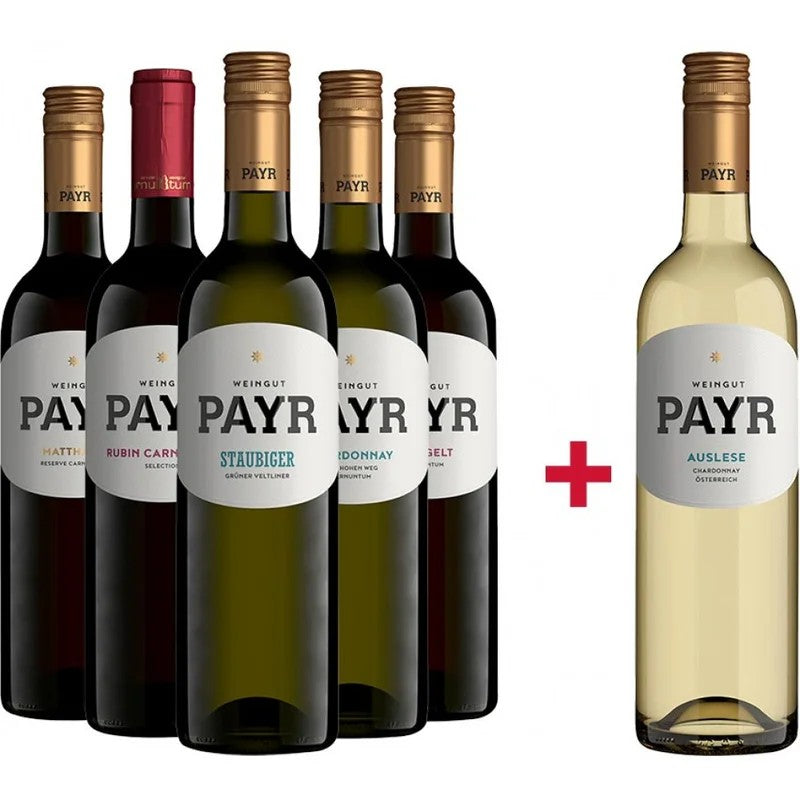Payr5+1RobertPayrEntdecker-PaketbeiWirWinzerbestellen