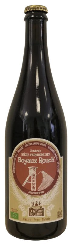 Paysannedel’ArtoisBoyauxRouch’:Bier-Bewertung&Test–BeerTasting