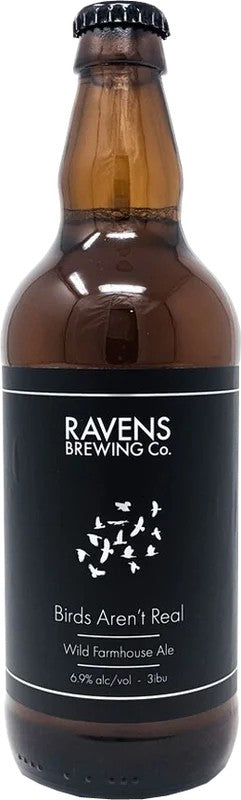 RavensBirdsAren’tReal:Bier-Bewertung&Test–BeerTasting