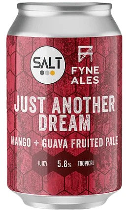 SaltJustAnotherDream:Bier-Bewertung&Test–BeerTasting