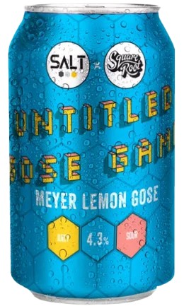 SaltUntitledGoseGame:Bier-Bewertung&Test–BeerTasting
