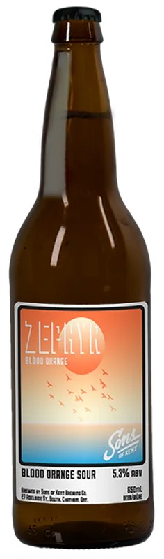 SonsBloodOrangeZephyr:Bier-Bewertung&Test–BeerTasting