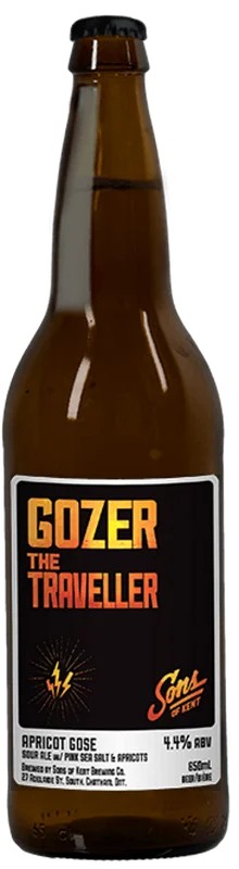SonsGozerTheTraveller:Bier-Bewertung&Test–BeerTasting