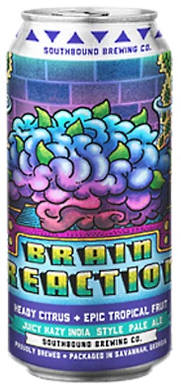 SouthboundBrainReaction:Bier-Bewertung&Test–BeerTasting