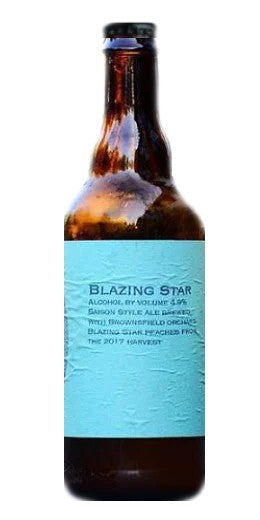 StructuresBlazingStar:Bier-Bewertung&Test–BeerTasting