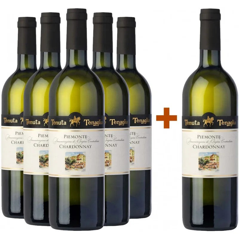 TenutaTenaglia5+1PaketChardonnaybeiWirWinzerbestellen