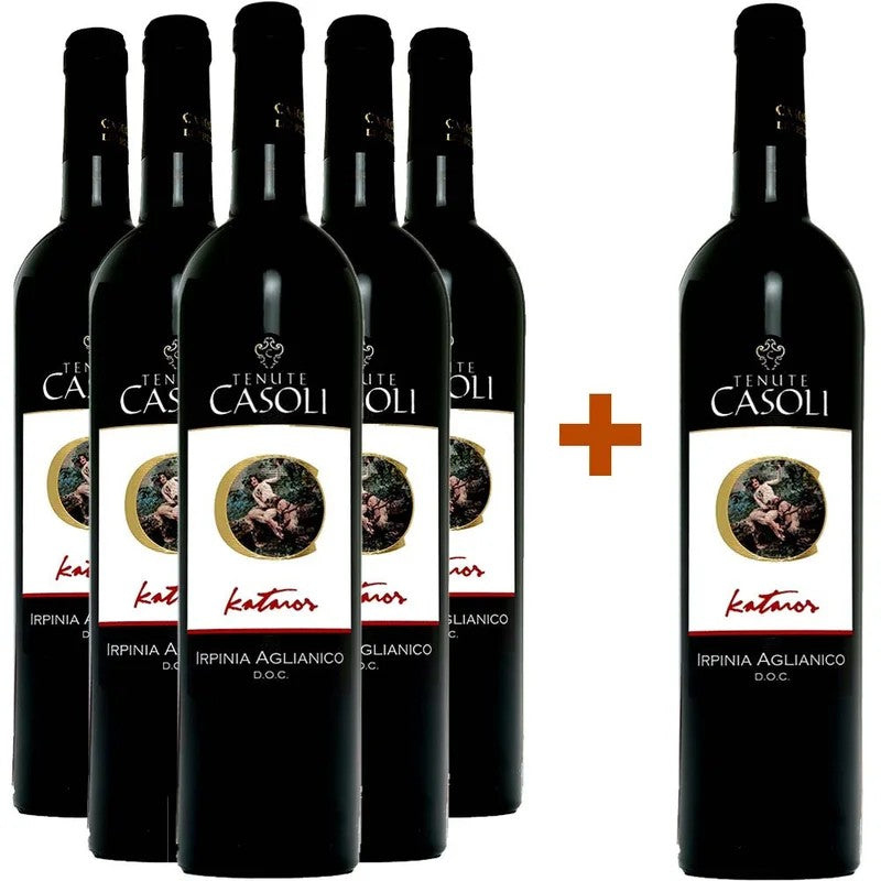 TenuteCasoli5+1PaketKatarosIrpiniaAglianicoDOC