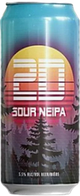 TownSquare–2DSourNEIPA:Bier-Bewertung&Test–BeerTasting