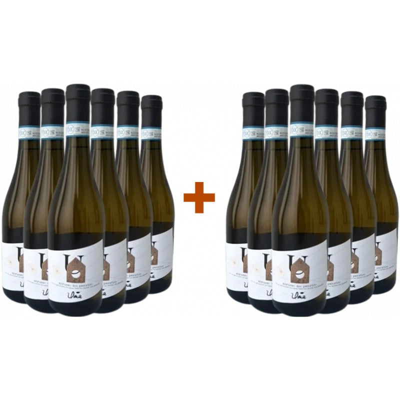 UmaCasanatura6+6PaketPecorinoAbruzzoDOC